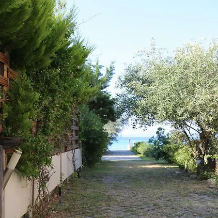 Argo 3 - Beachfront, Big Gardens, Location! Villa