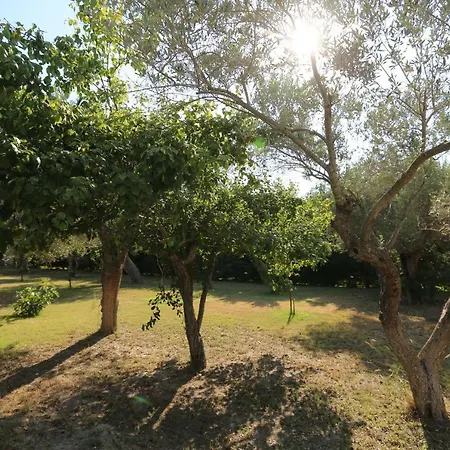 Argo 3 - Beachfront, Big Gardens, Location! Villa *