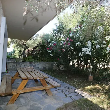 Argo 3 - Beachfront, Big Gardens, Location! Villa